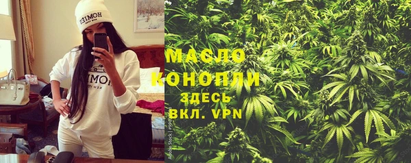 меф Пересвет