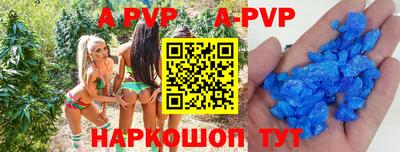 гидра Будённовск