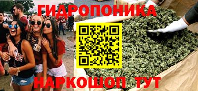 сатива Балахна