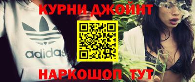 гидра Будённовск