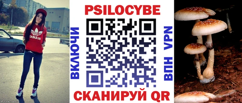 цена   ОМГ ОМГ как войти  Псилоцибиновые грибы GOLDEN TEACHER  Кумертау 